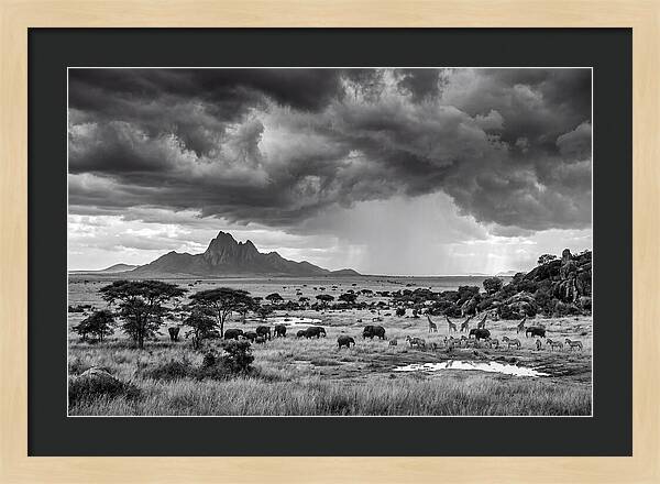 Kilimanjaro Savanna Vista