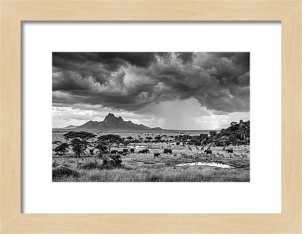 Kilimanjaro Savanna Vista