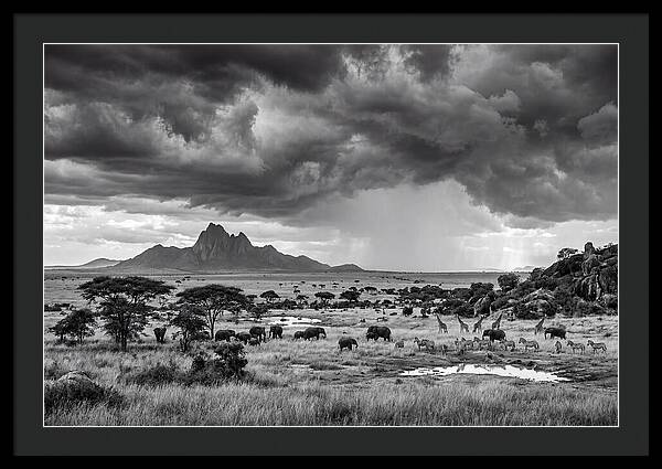 Kilimanjaro Savanna Vista