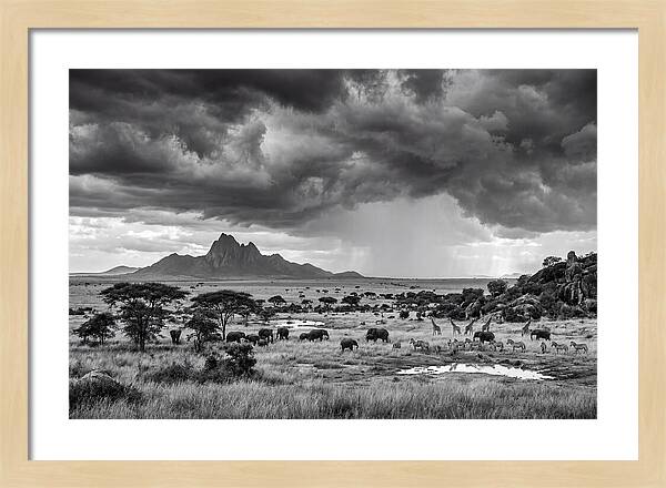 Kilimanjaro Savanna Vista
