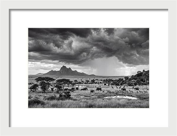 Kilimanjaro Savanna Vista