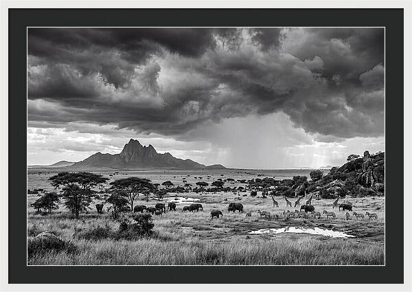 Kilimanjaro Savanna Vista