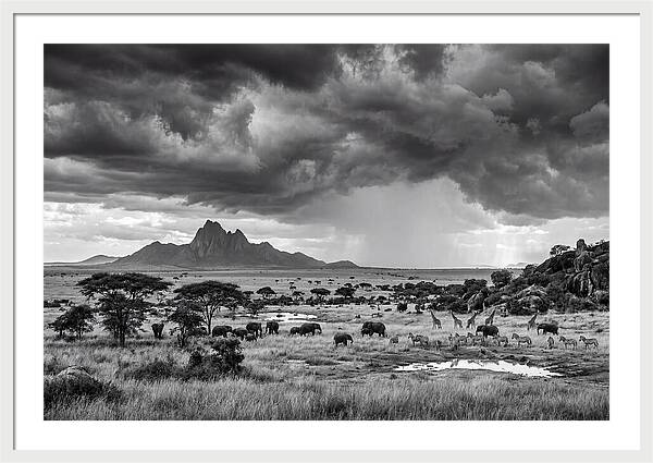 Kilimanjaro Savanna Vista