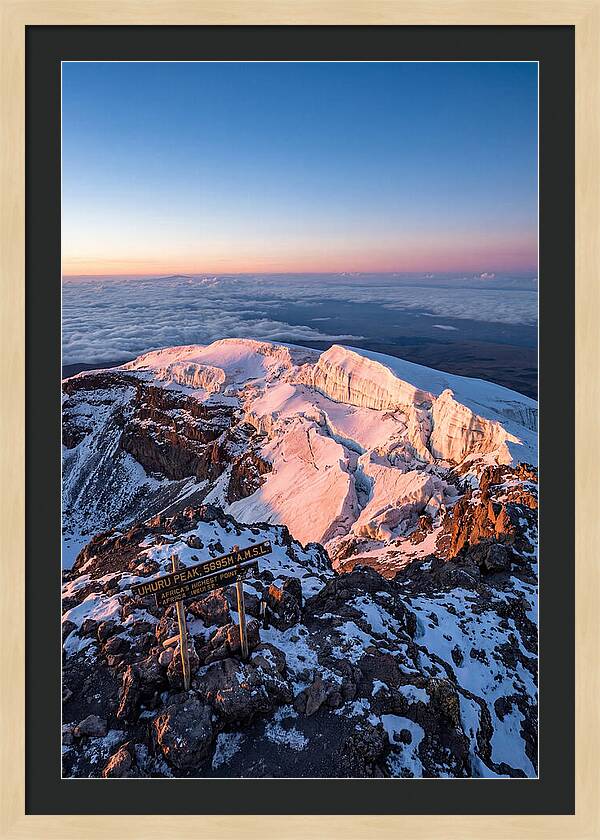 Kilimanjaro Summit Glaciers At Sunrise