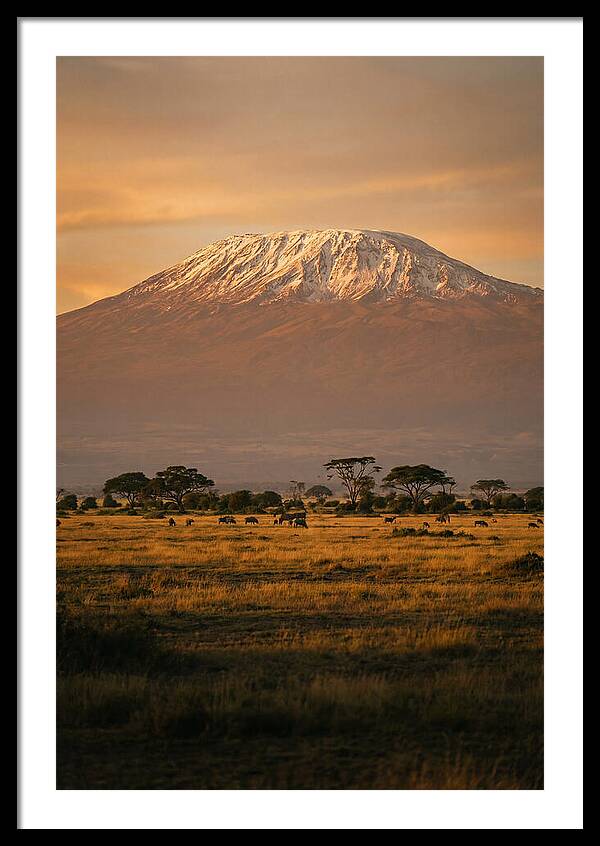 Kilimanjaros Majestic Glow