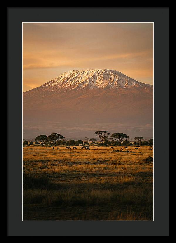 Kilimanjaros Majestic Glow