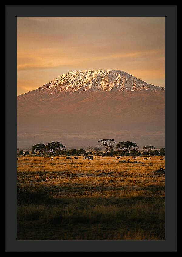 Kilimanjaros Majestic Glow