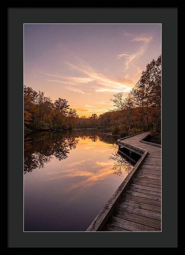 Killens Pond Serenity