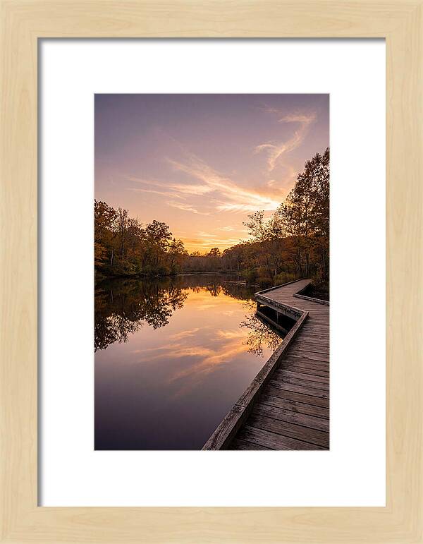 Killens Pond Serenity