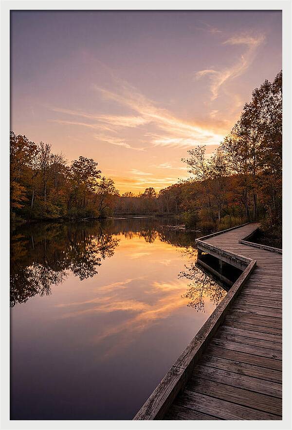 Killens Pond Serenity