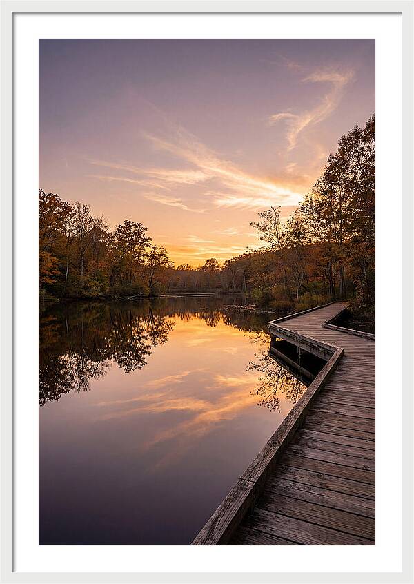 Killens Pond Serenity