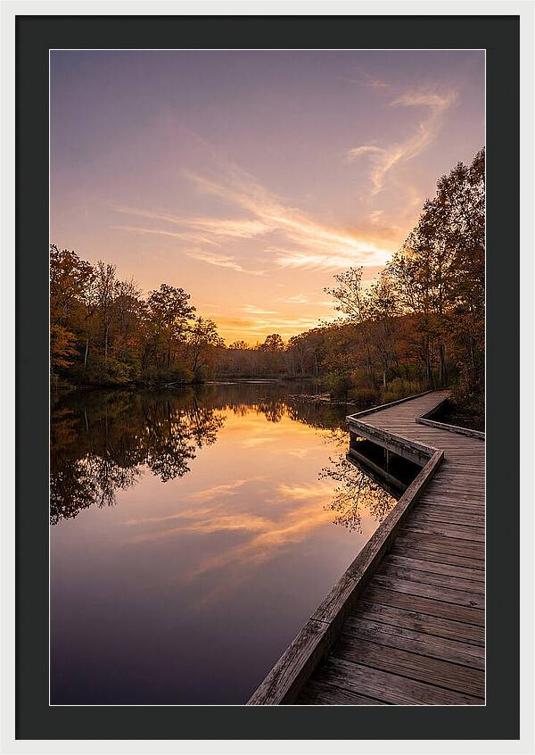Killens Pond Serenity