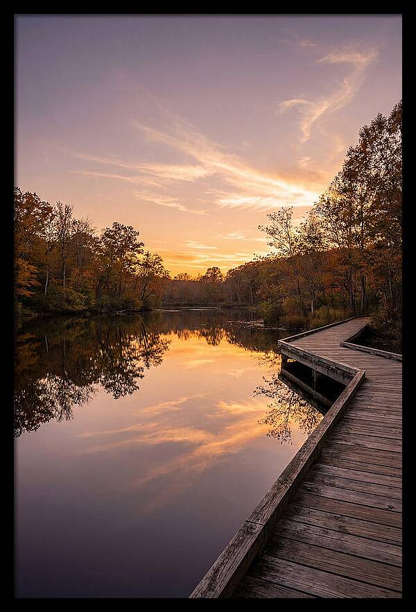 Killens Pond Serenity