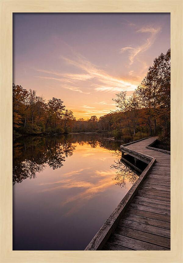 Killens Pond Serenity