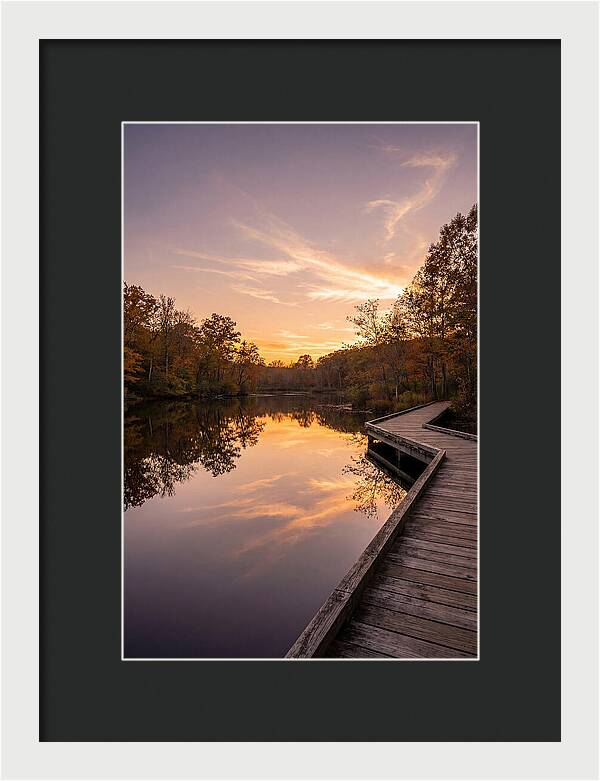 Killens Pond Serenity