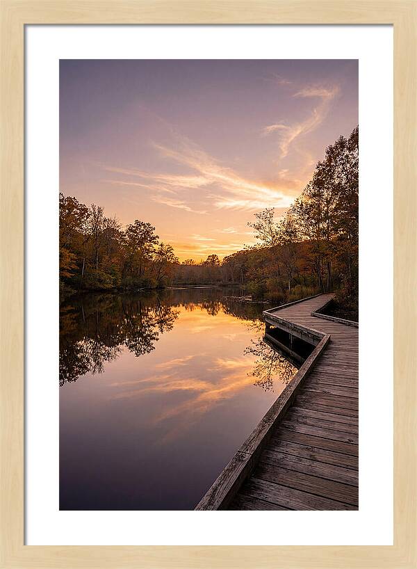 Killens Pond Serenity