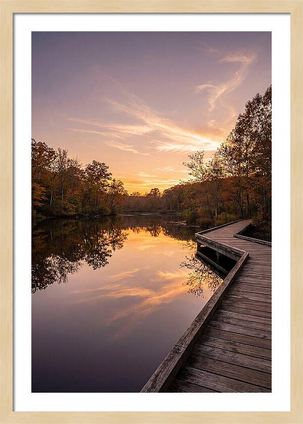 Killens Pond Serenity
