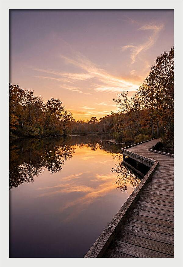 Killens Pond Serenity