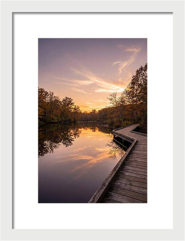 Killens Pond Serenity