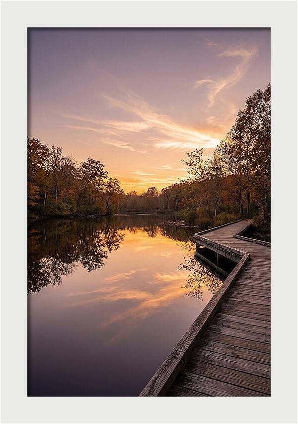 Killens Pond Serenity