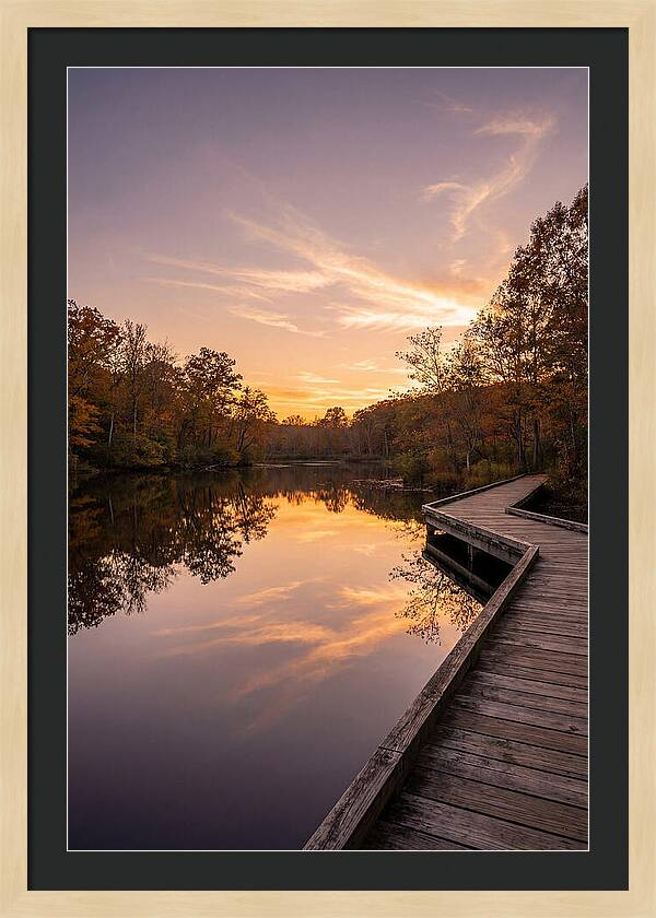 Killens Pond Serenity