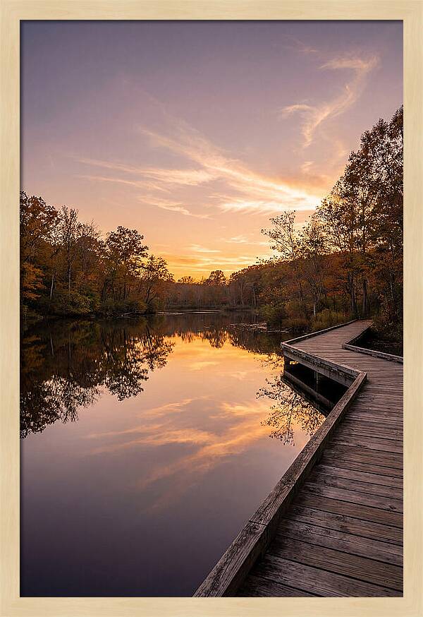 Killens Pond Serenity