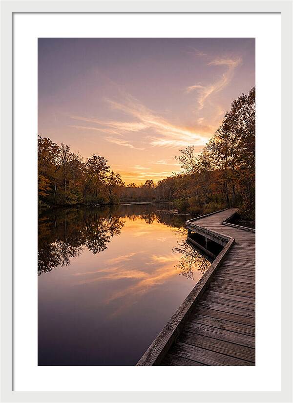 Killens Pond Serenity