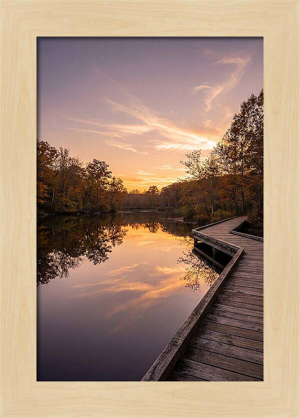 Killens Pond Serenity