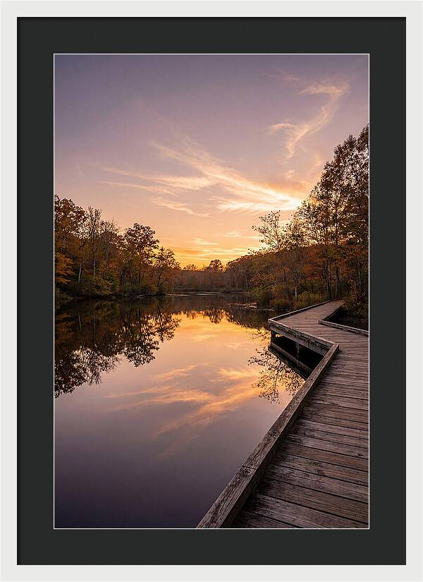 Killens Pond Serenity
