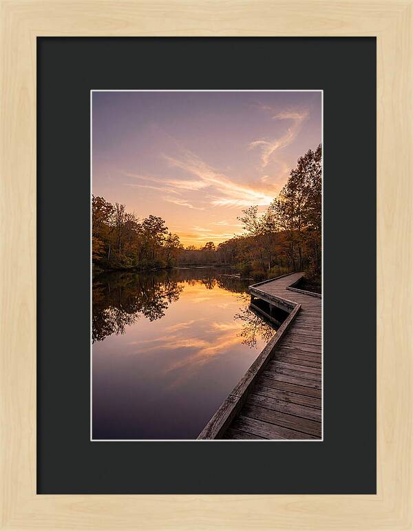 Killens Pond Serenity
