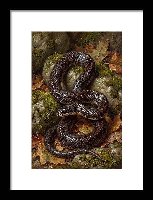 King Snake Among Autumn Leaves