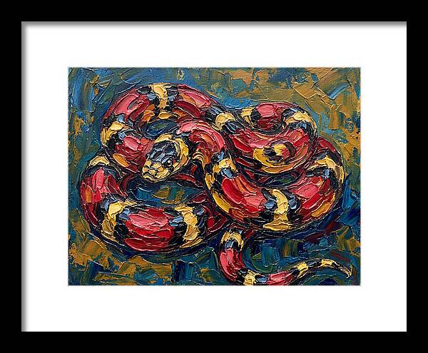 King Snake In Vibrant Colors