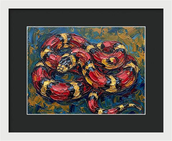 King Snake In Vibrant Colors