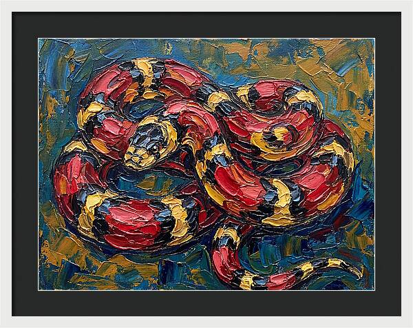 King Snake In Vibrant Colors