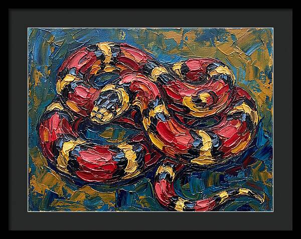 King Snake In Vibrant Colors