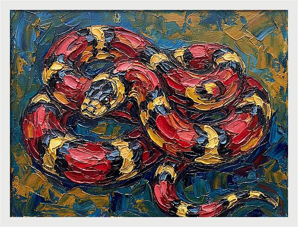 King Snake In Vibrant Colors