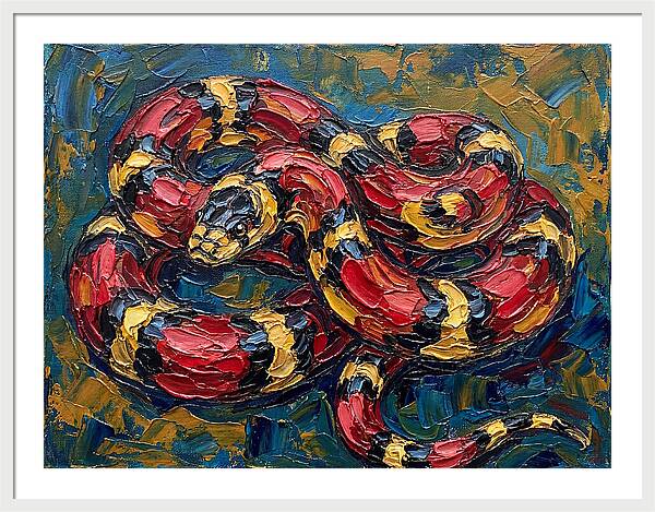 King Snake In Vibrant Colors
