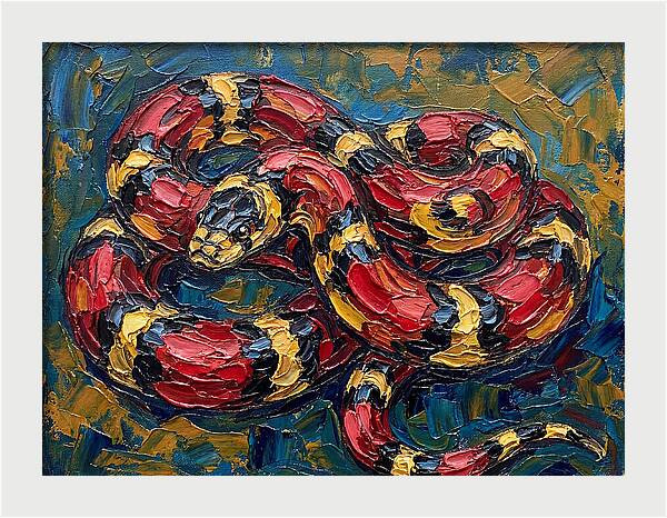 King Snake In Vibrant Colors
