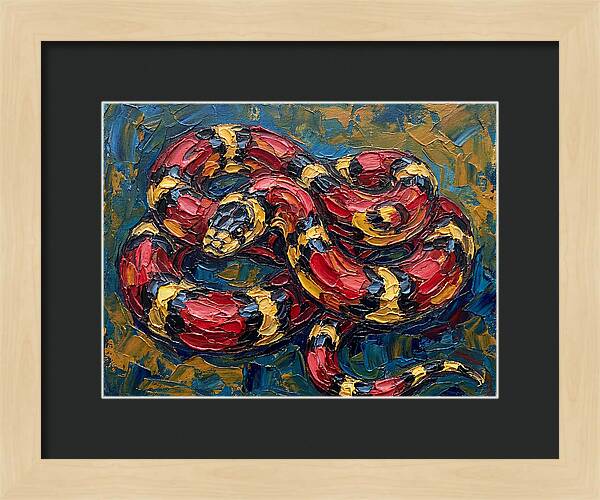 King Snake In Vibrant Colors