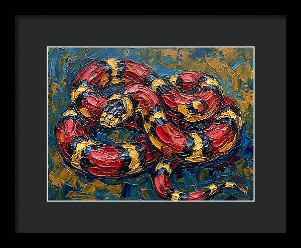 King Snake In Vibrant Colors
