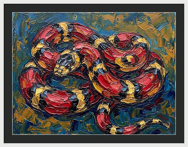 King Snake In Vibrant Colors