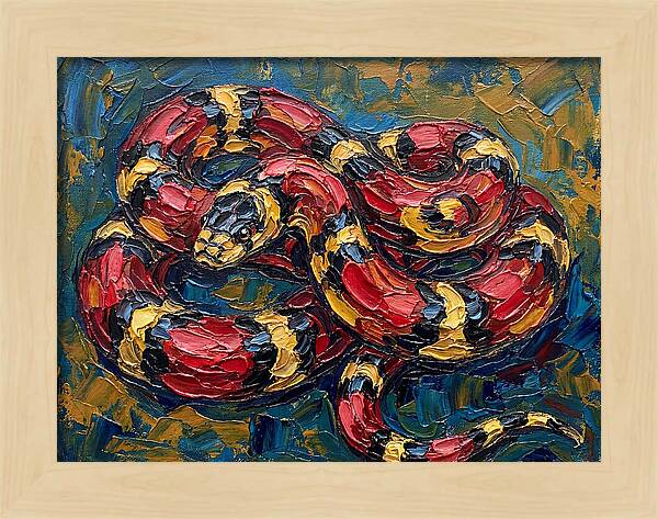 King Snake In Vibrant Colors