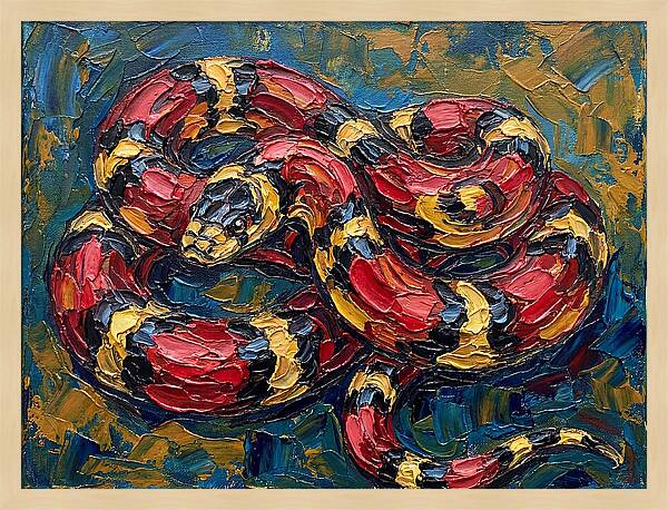 King Snake In Vibrant Colors