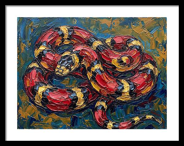 King Snake In Vibrant Colors