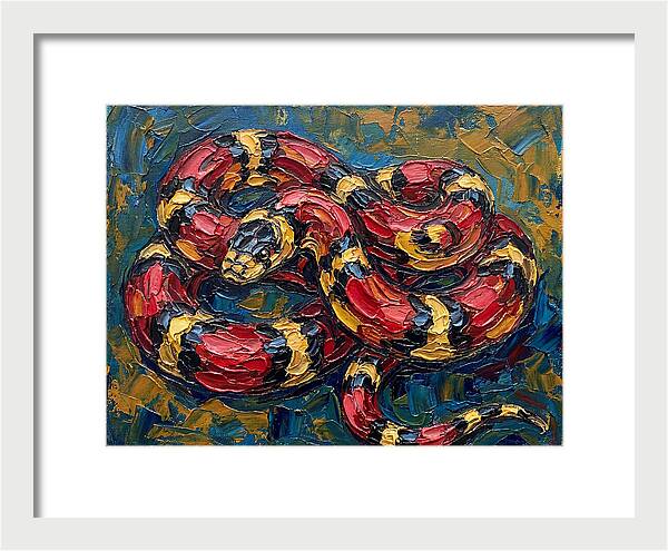 King Snake In Vibrant Colors