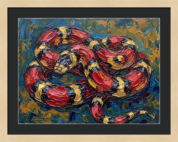 King Snake In Vibrant Colors