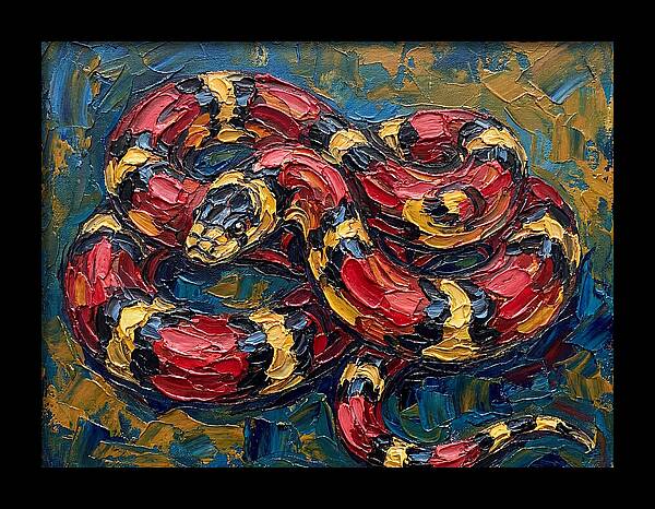 King Snake In Vibrant Colors