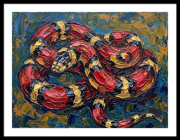 King Snake In Vibrant Colors
