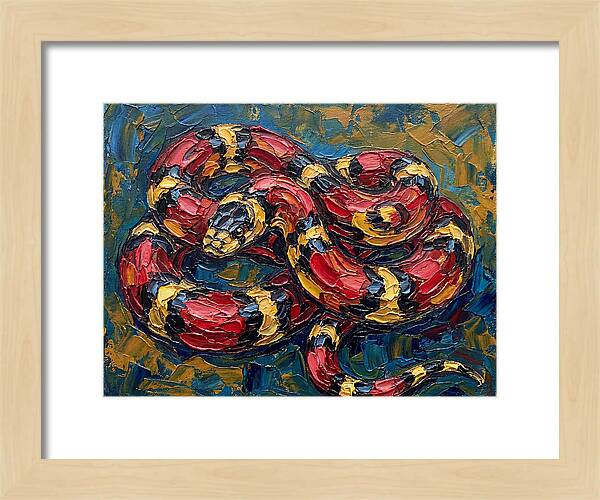 King Snake In Vibrant Colors