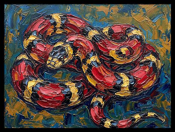 King Snake In Vibrant Colors